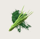 Spirulina-Pulver