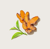 Curcuma- und Moringa-Extrakt