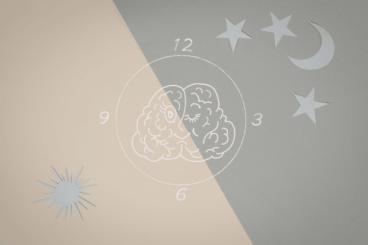 Schlaf und Erholung: Wie der Körper sich regeneriert, reguliert und wiederherstellt