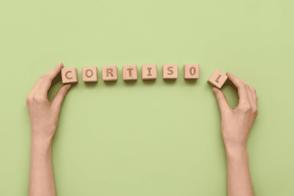 Stress, Cortisol und der Körper: Der komplette Guide zu Regulation und Erholung