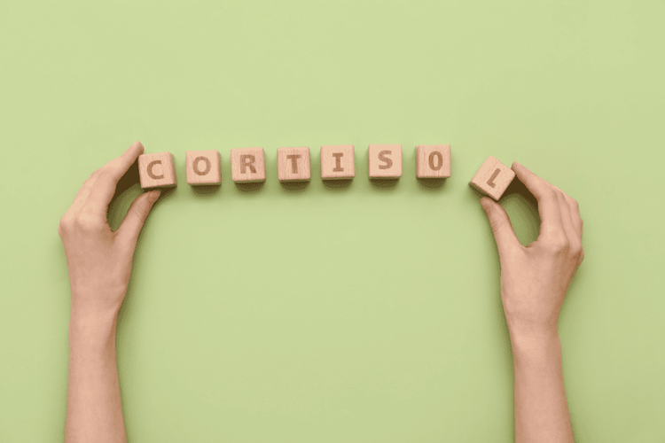 Stress, Cortisol und der Körper: Der komplette Guide zu Regulation und Erholung